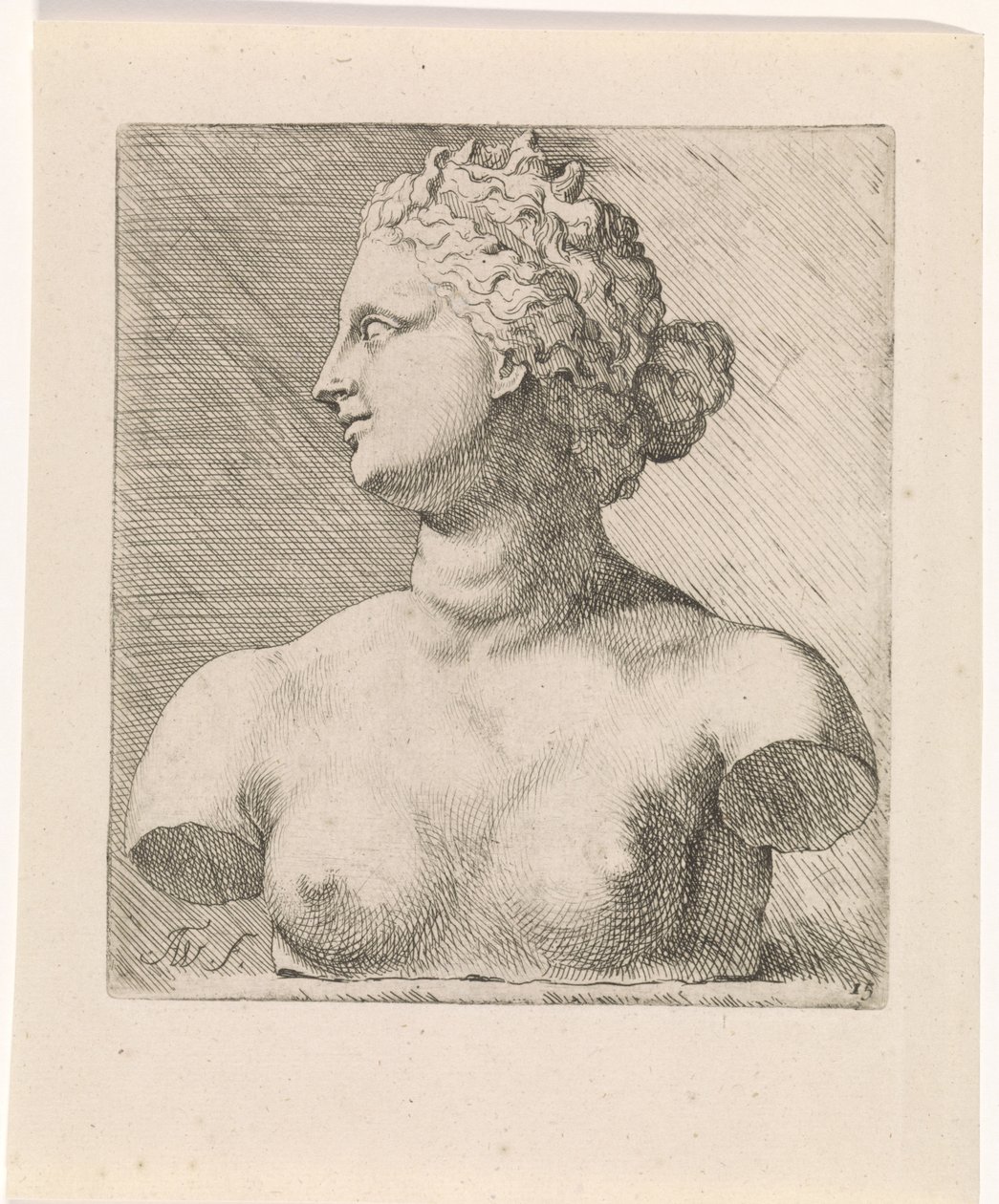 Büste der Venus de