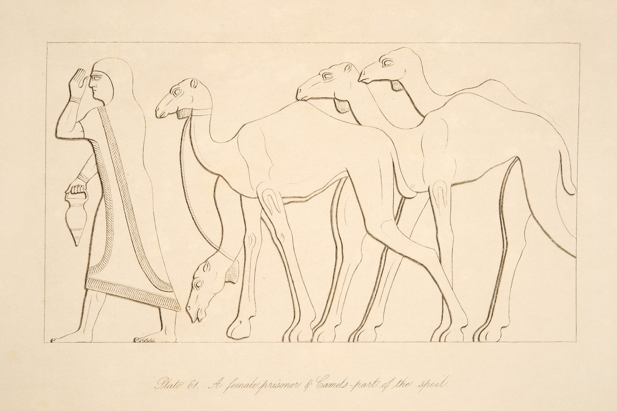 Eine weibliche Gefangene und ein Kamel, Illustration aus Denkmäler von Ninive, 1849 von Austen Henry Layard