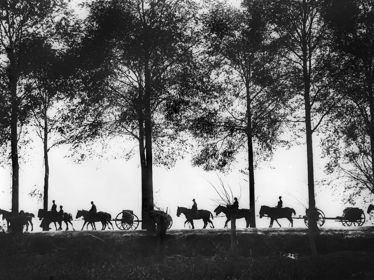 Eine Ansicht, im Silhouette, von australischen Artillerie-Limbers, die mit Munition beladen sind und entlang der Ypres-Straße fahren, 25. September 1917 von Australian Photographer