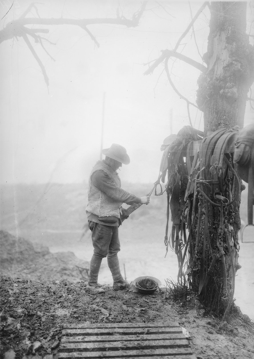 Ein unbekannter australischer Artilleriefahrer reinigt den Schlamm von den Geschirren seines Teams in einer Unterkunft in der Nähe von Mametz, Dezember 1916 von Australian Photographer