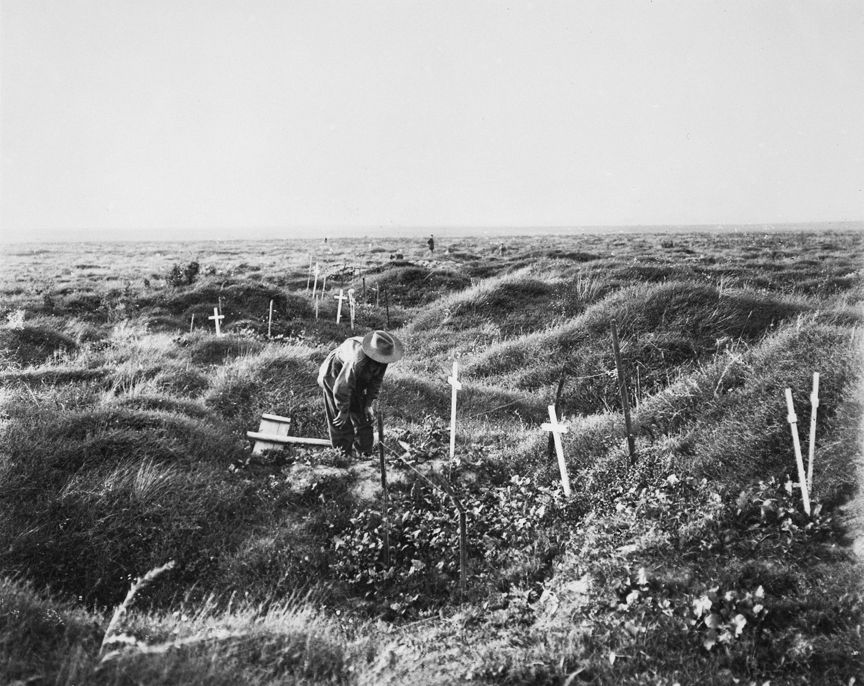 Ansicht verstreuter australischer Gräber entlang der OG1-Linie auf dem Schlachtfeld von Pozieres, 16. September 1917 von Australian Photographer