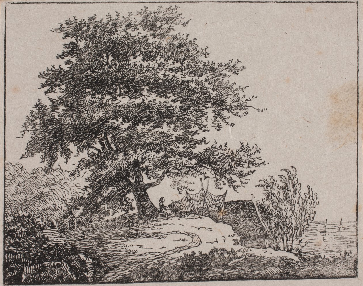 Baum auf einem Abhang am Meer von Axel Theodor Kittendorff