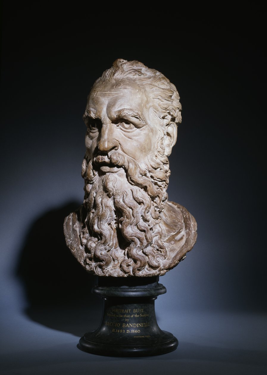 Studie des Kopfes von Sankt Paulus, ca. 1535 von Baccio Bandinelli