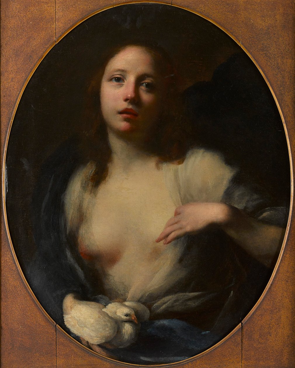 Gemälde eines jungen Mädchens mit weißer Taube von Baldassare (1611 89) Franceschini