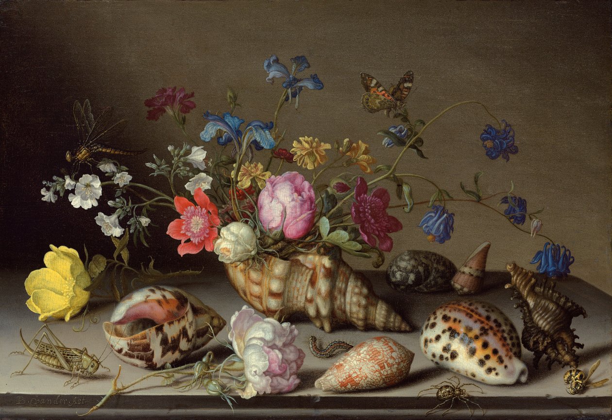 Blumen, Muscheln und Insekten auf einem Steinsims von Balthasar van der Ast