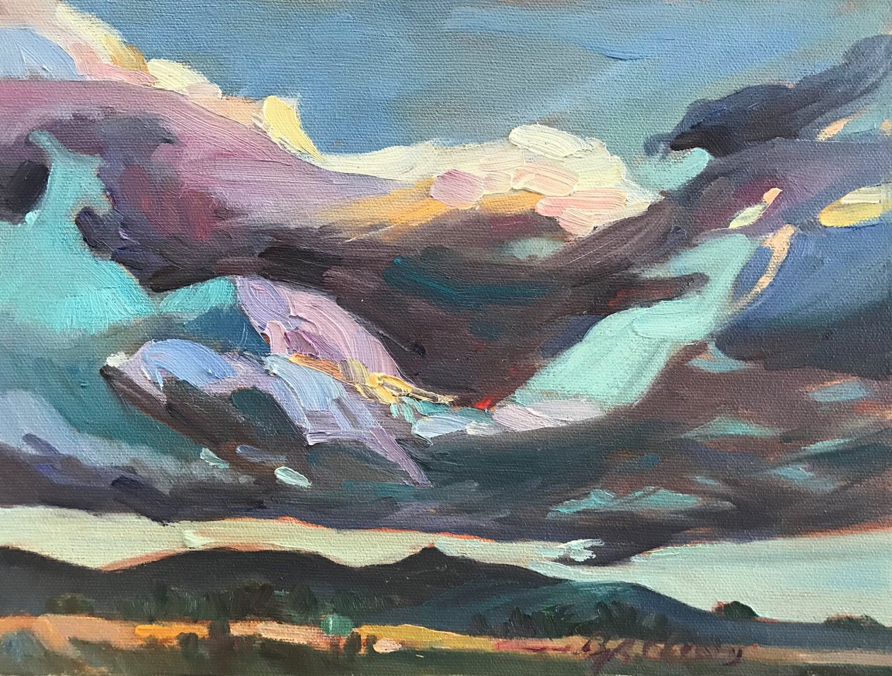 Dunkler Himmel in New Mexico von Barbara Cleary