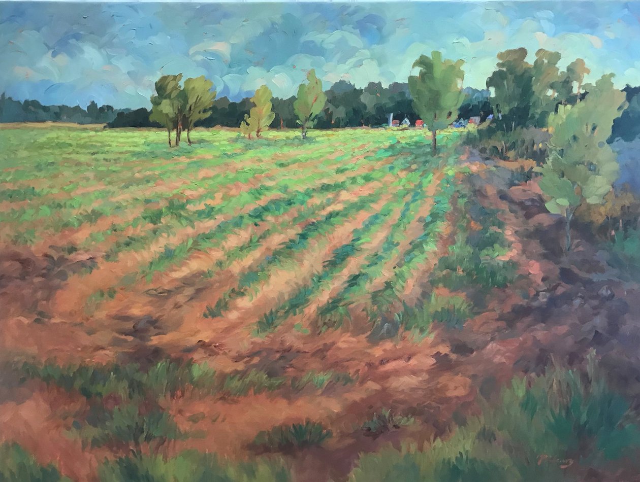 Früher Morgen von Barbara Cleary