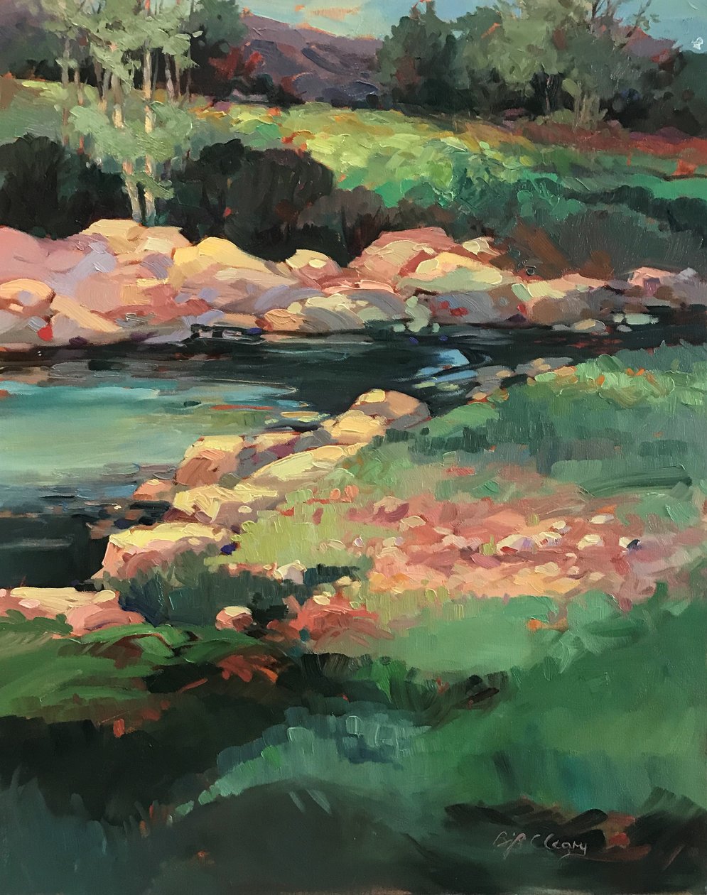 Winter von Barbara Cleary