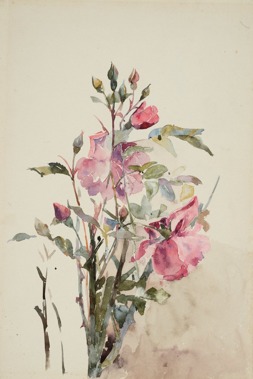 Rosa Blumenstiele von Barbara Leigh Smith Bodichon