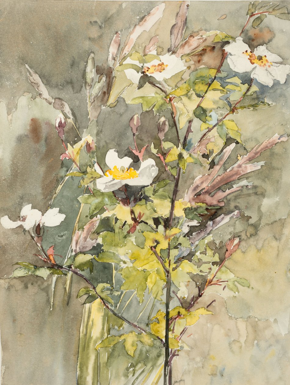 Wildblumen von Barbara Leigh Smith Bodichon