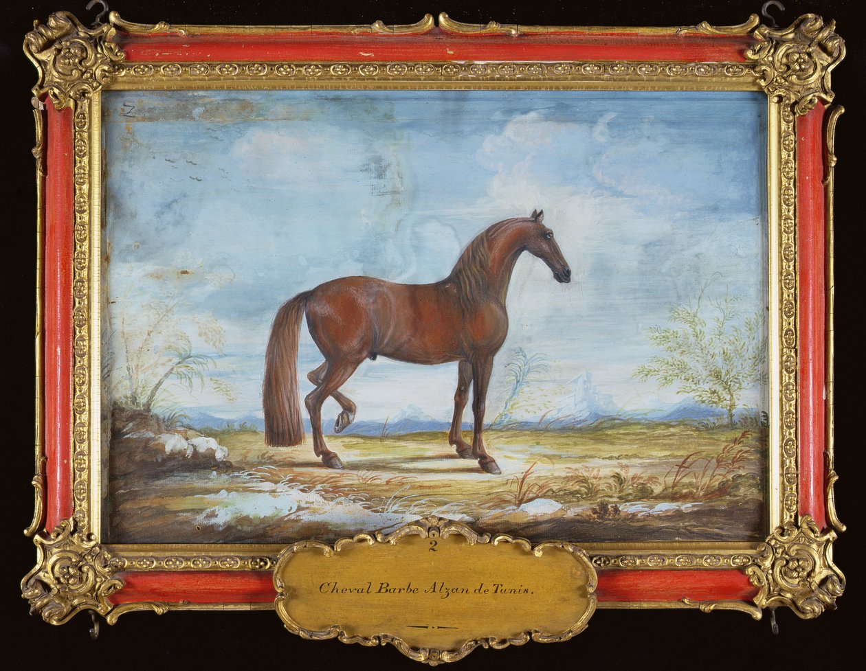 Nr. 2 Alzan de Tunis, ein Berberpferd der Spanischen Hofreitschule von Baron Reis Eisenberg
