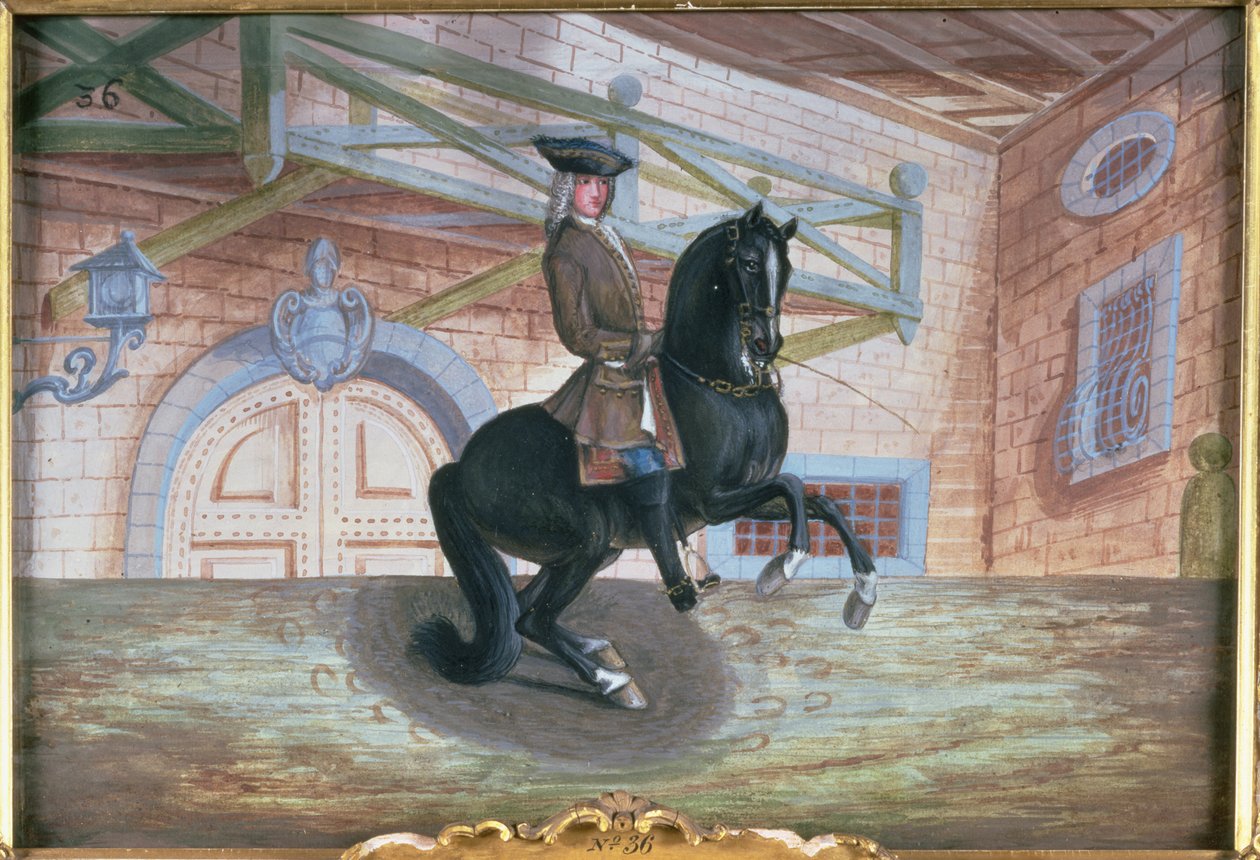 Nr. 36 Ein braun-bay-Pferd der Spanischen Hofreitschule, das eine Pirouette nahe dem Boden ausführt von Baron Reis Eisenberg