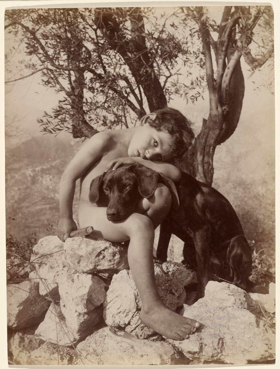 Junger nackter Junge und Hund von Baron Wilhelm von Gloeden