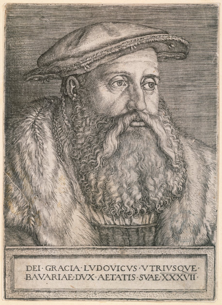 Herzog Ludwig von Bayern von Barthel Beham