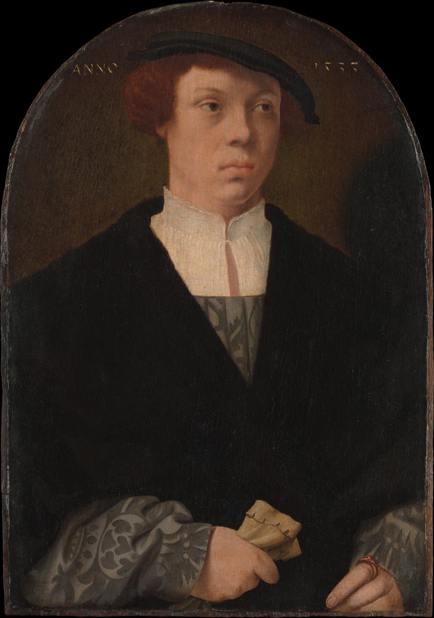 Porträt eines Mannes, 1533 von Bartholomaeus Bruyn the Elder
