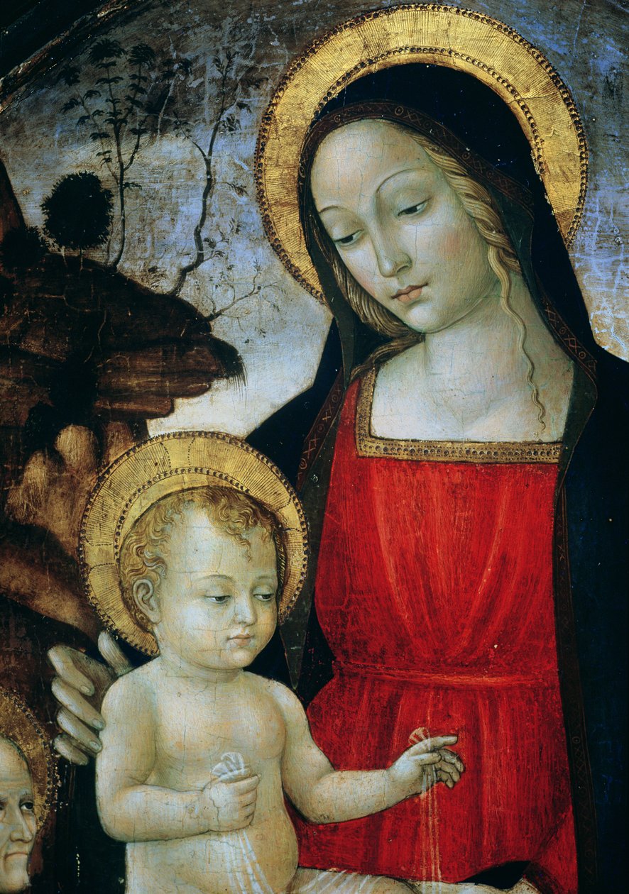 Madonna mit Kind (Detail) von Bartolomeo Montagna