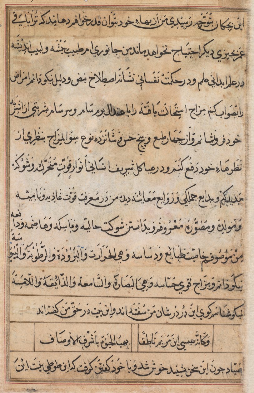 Seite aus Geschichten eines Papageis Tuti-nama: Textseite, ca. 1560 von Basavana