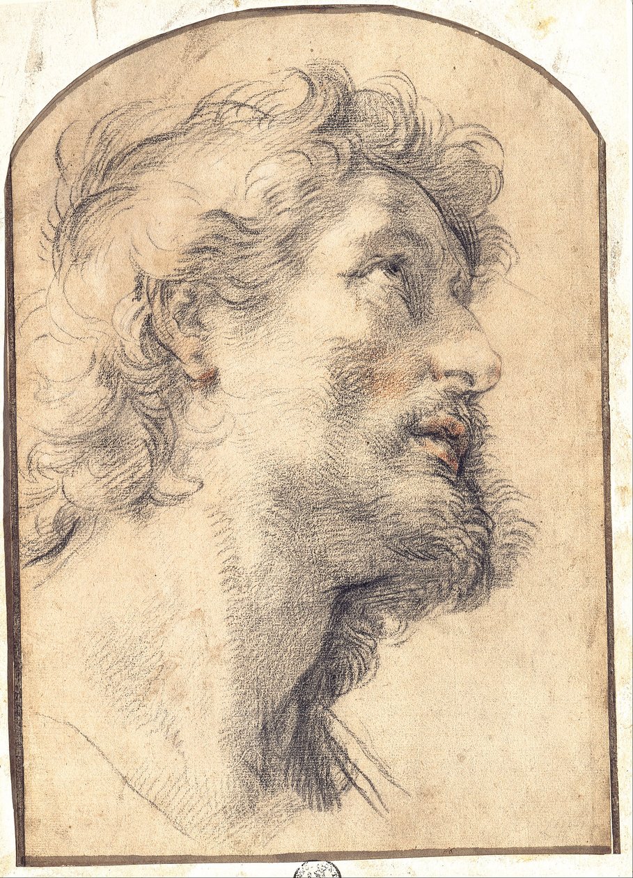 Studie des Kopfes von Heiliger Crispin von Benedetto Luti