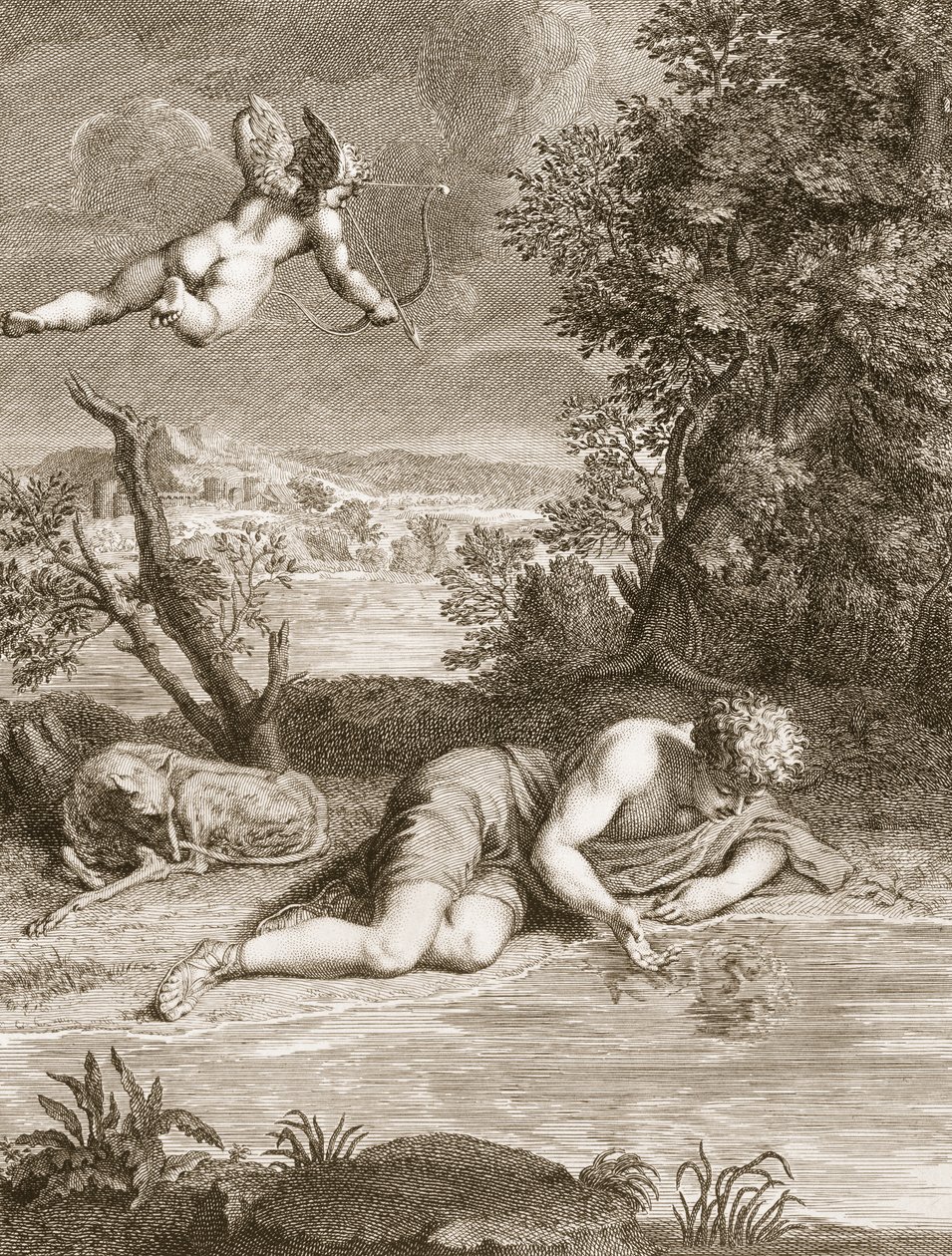 Narziss verwandelt sich in eine Blume, 1730 von Bernard Picart