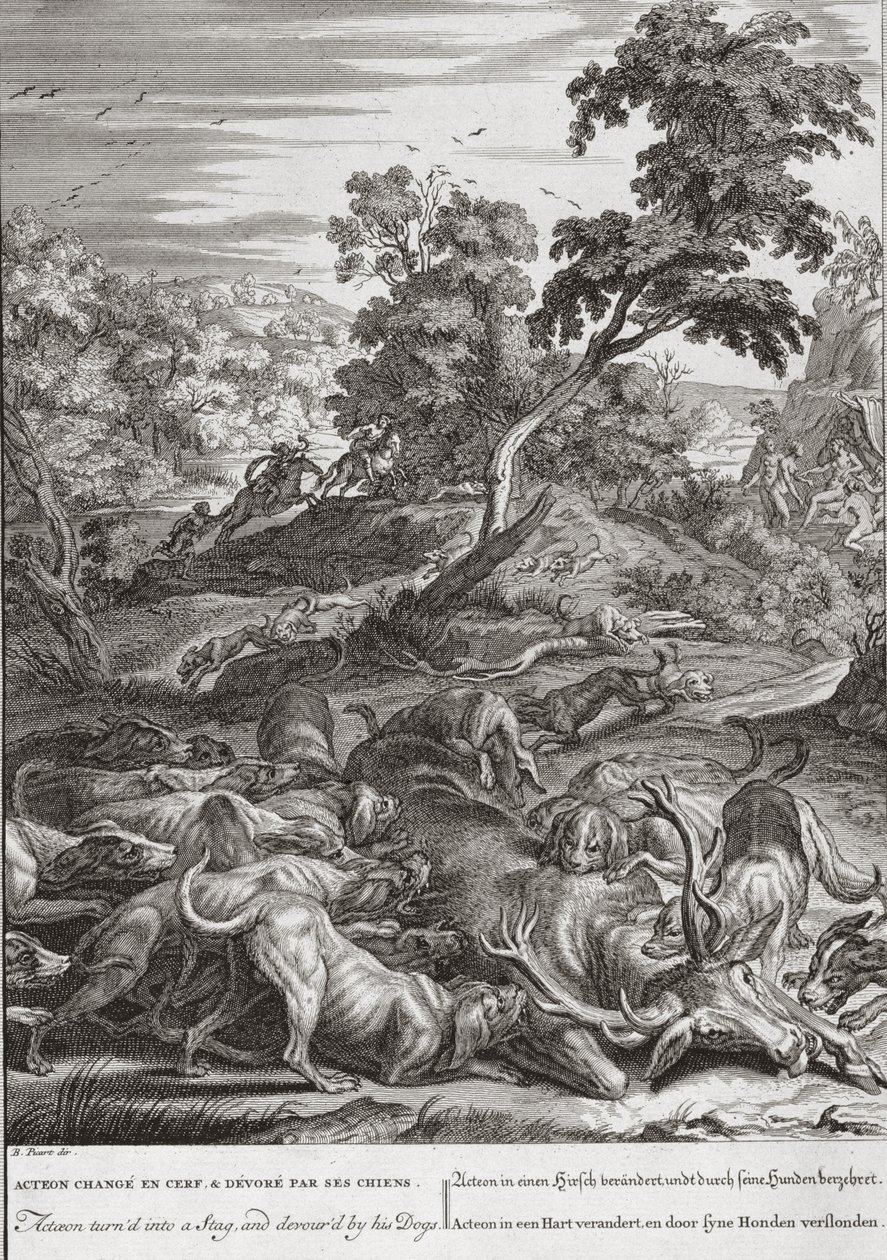 Actaeon wird in einen Hirsch verwandelt und von seinen Hunden verschlungen, 1731 von Bernard Picart