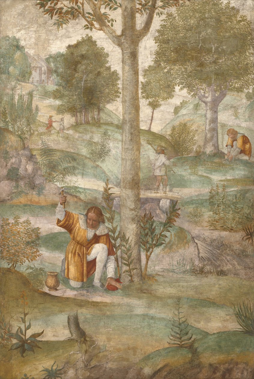Cephalus versteckt die Juwelen von Bernardino Luini