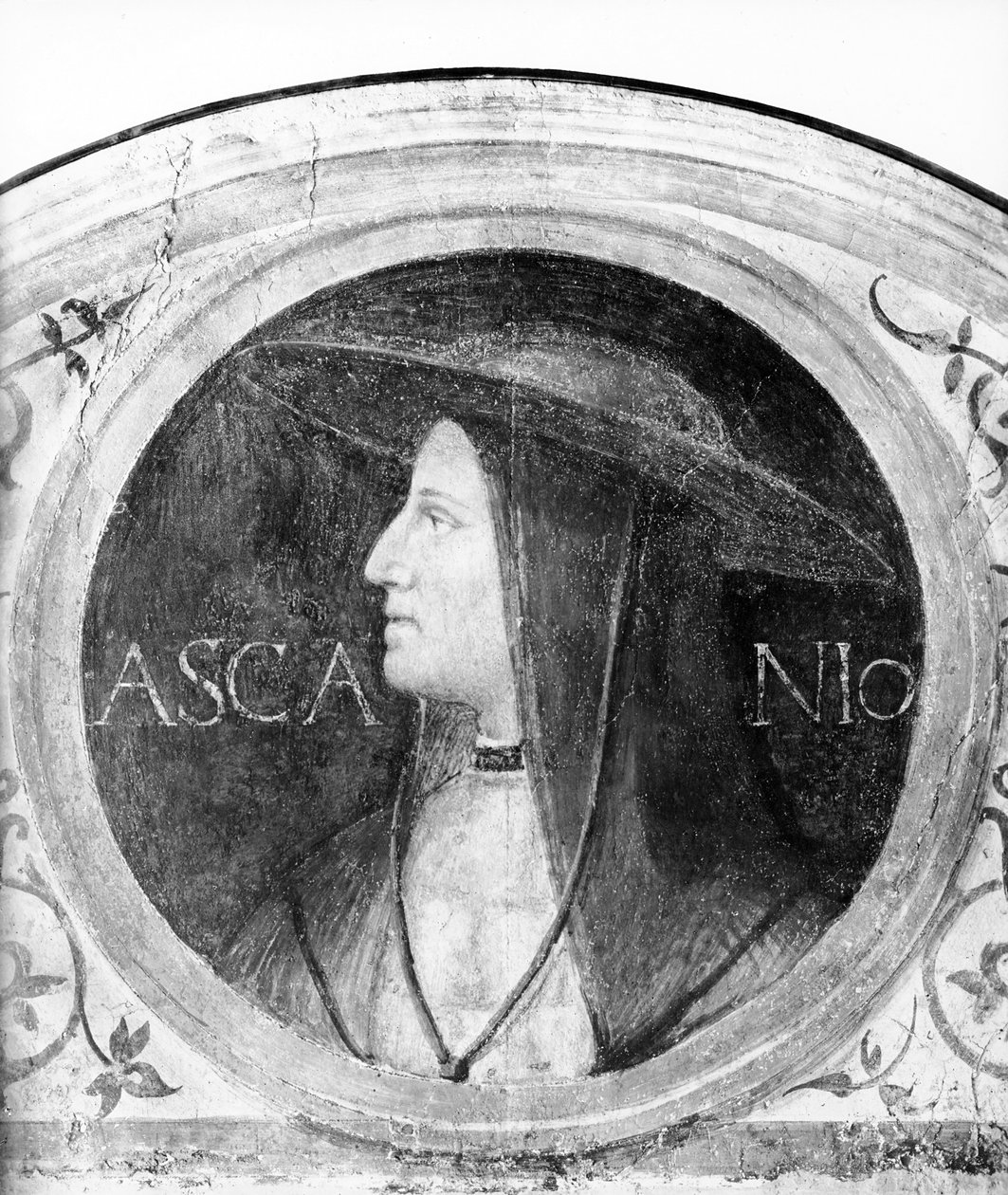 Porträt von Kardinal Ascanio Sforza von Bernardino Luini