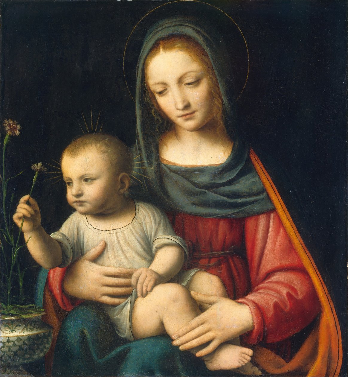 Die Madonna mit der Nelke von Bernardino Luini