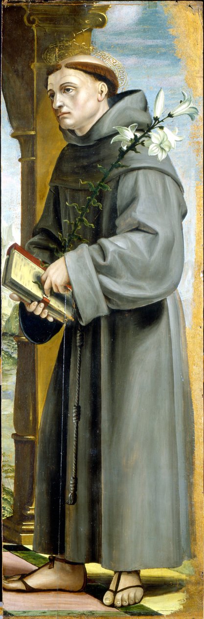 Der heilige Antonius von Padua von Bernadino Zenale