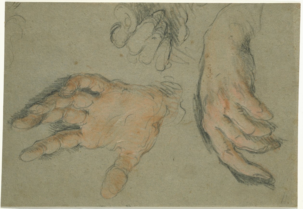 Studie von drei Händen, 1625-30 von Bernardo Strozzi