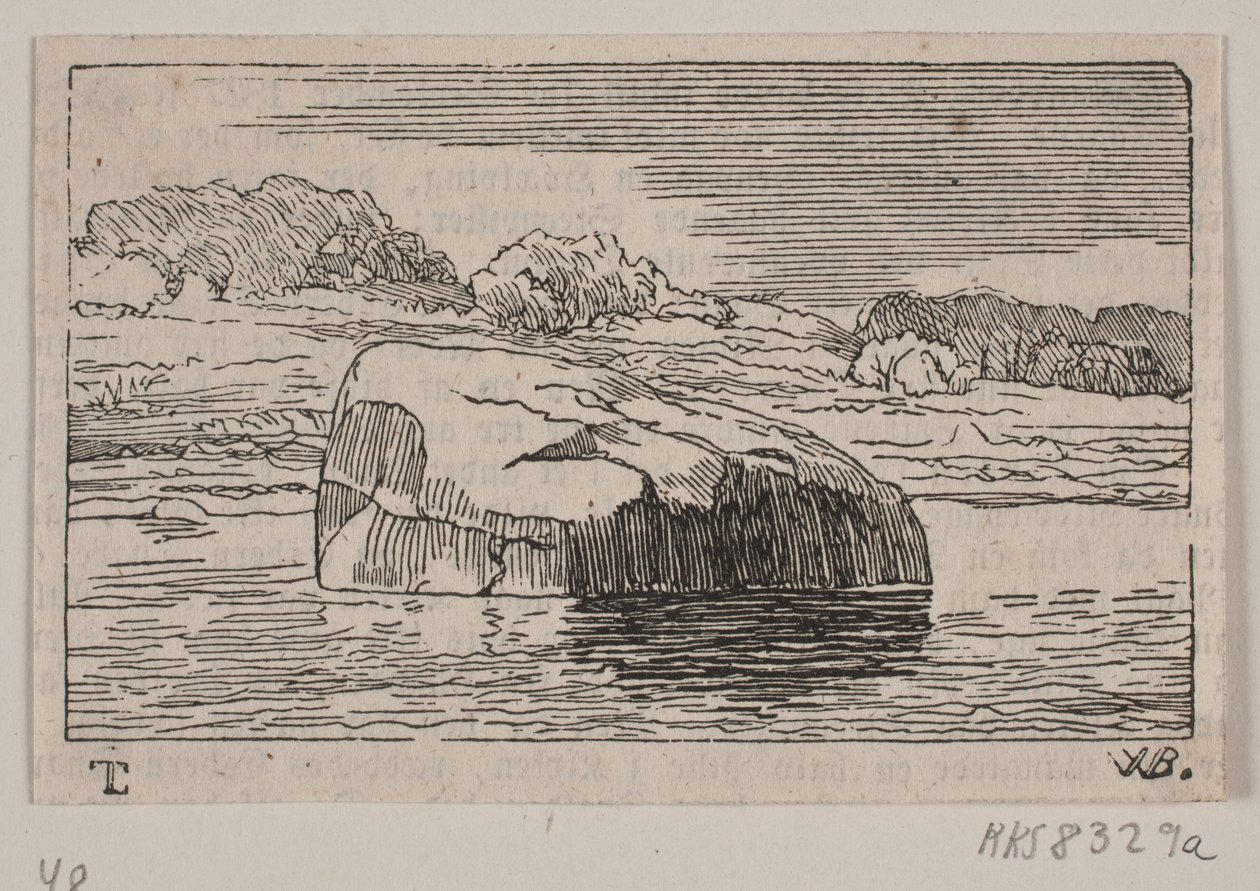 Sortesteen von Biegant