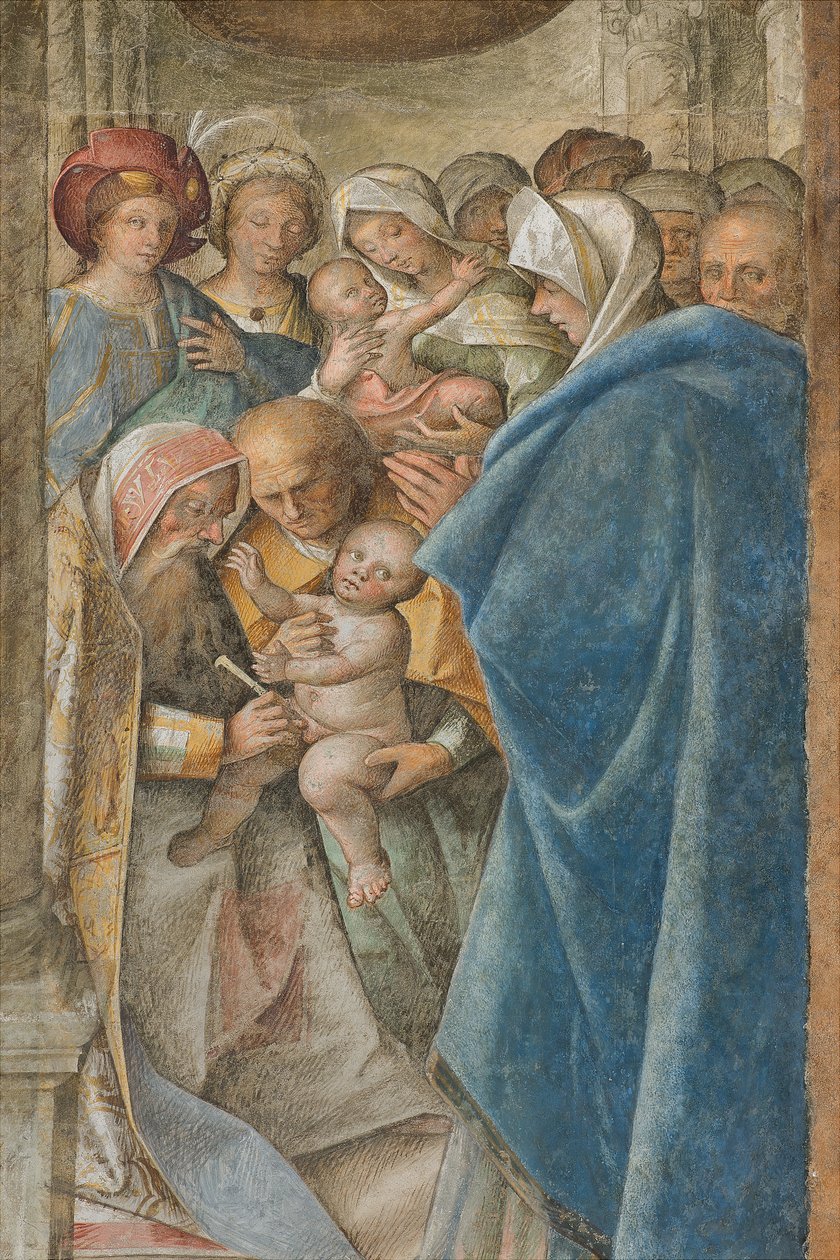 Zentrales Schiff, vierter nördlicher Spann, Beschneidung, Boccaccio Boccaccino 1516-17 (Detail) von Boccaccio Boccaccino