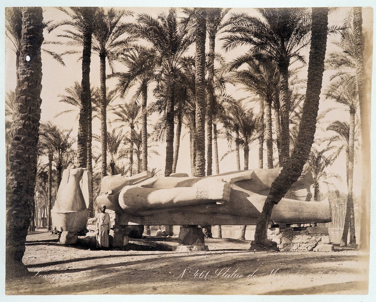 Eine Statue von Memphis liegt in einem Palmengarten in Ägypten - Fotografie von den Zangali-Brüdern, späte 19. Jahrhundert von Brothers Zangaki