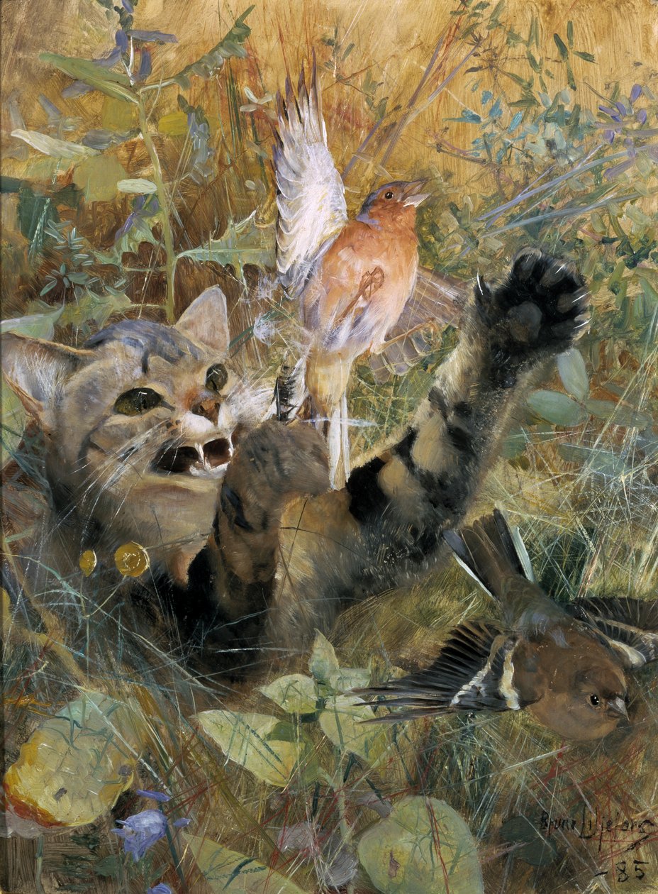Eine Katze und ein Buchfink, 1885 von Bruno Andreas Liljefors