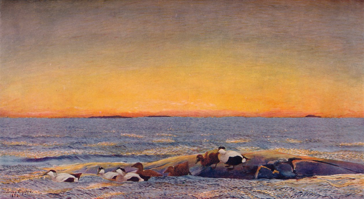 Sonnenaufgang, 1896 von Bruno Andreas Liljefors