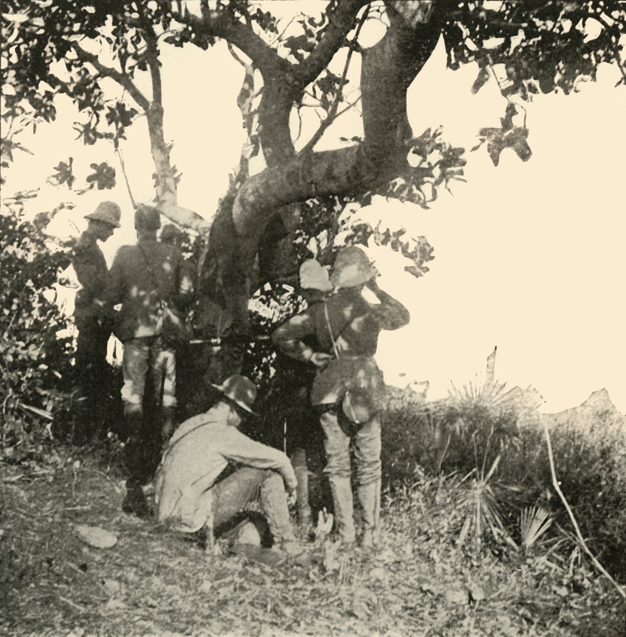 Baum, von dem aus Captain Paget...Sah...Schlacht von San Juan, Spanisch-Amerikanischer Krieg, Juni 1898, 1899 von Burr McIntosh