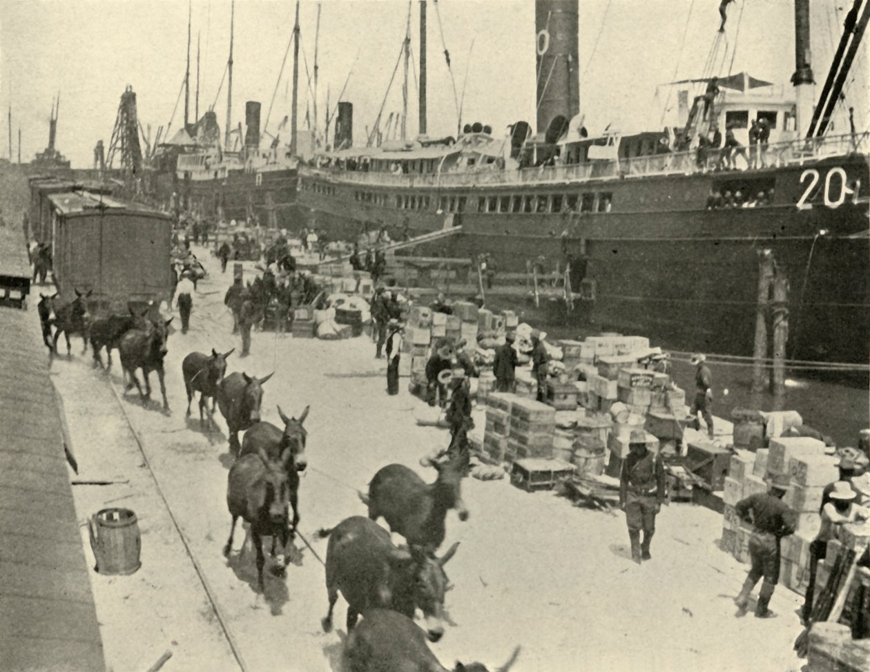 Truppentransportschiffe in Port Tampa, Florida, USA, Spanisch-Amerikanischer Krieg, 10. Juni 1898, 1899 von Burr McIntosh