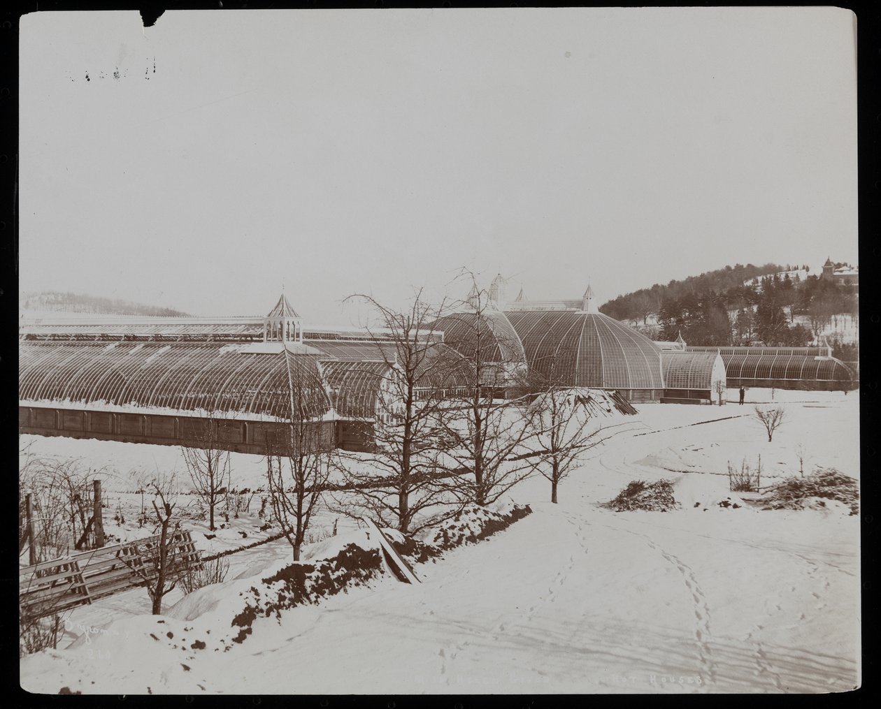 Die Gewächshäuser im Schnee auf dem Anwesen von Helen Gould (ehemaliger Wohnsitz von Jay Gould) in Tarrytown, New York, 1894 von Byron Company