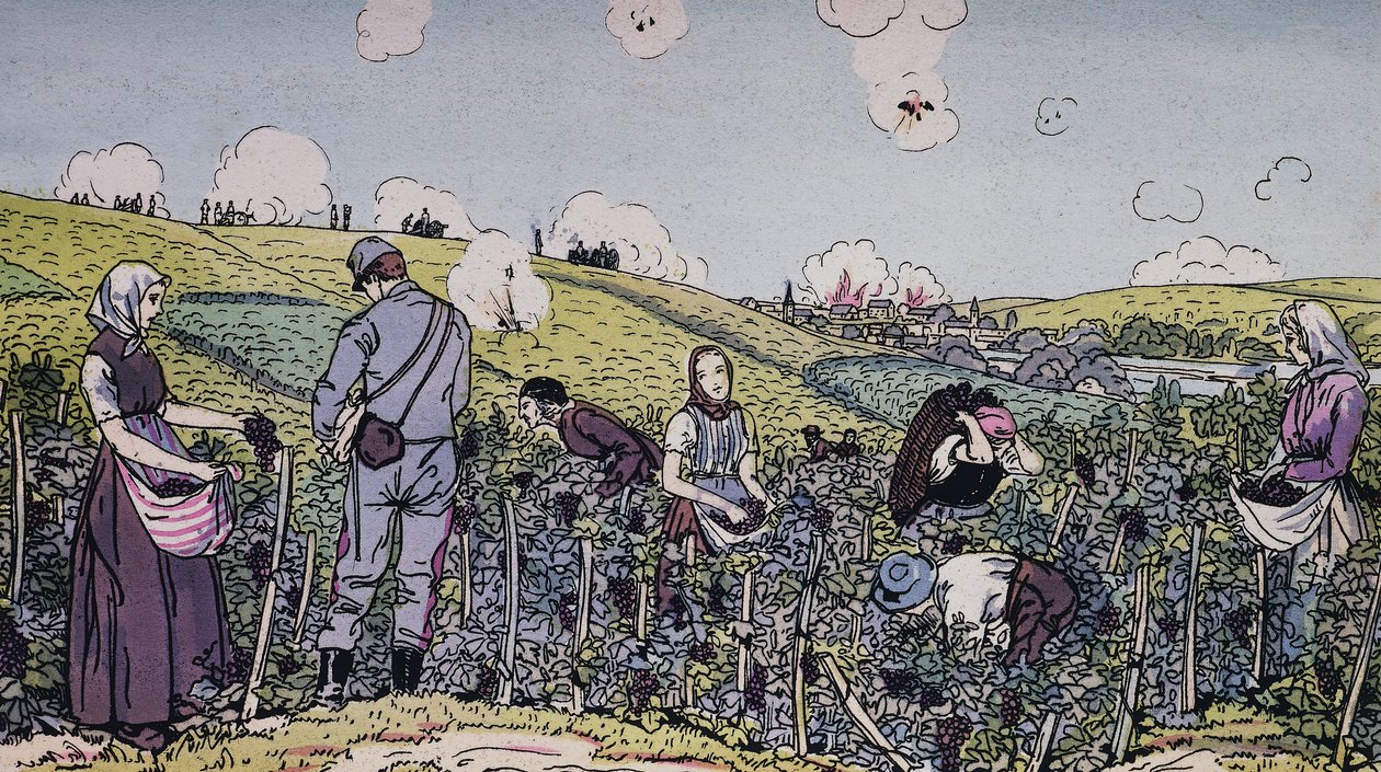Unsere Winzer unter Beschuss geerntet, die Ernte in der Champagne-Region im Jahr 1914, Erster Weltkrieg, Frankreich, 20. Jahrhundert von J.B. and Brown J. Rowbotham
