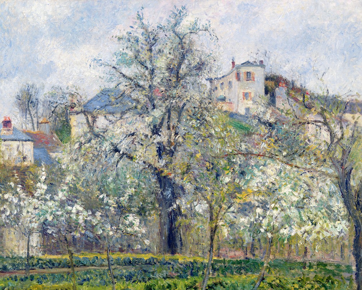 Der Gemüsegarten mit blühenden Bäumen, Frühling, Pontoise, 1877 von Camille Jacob Pissarro
