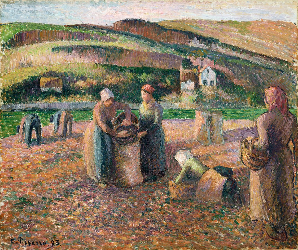 Kartoffeln ernten, 1893 von Camille Jacob Pissarro