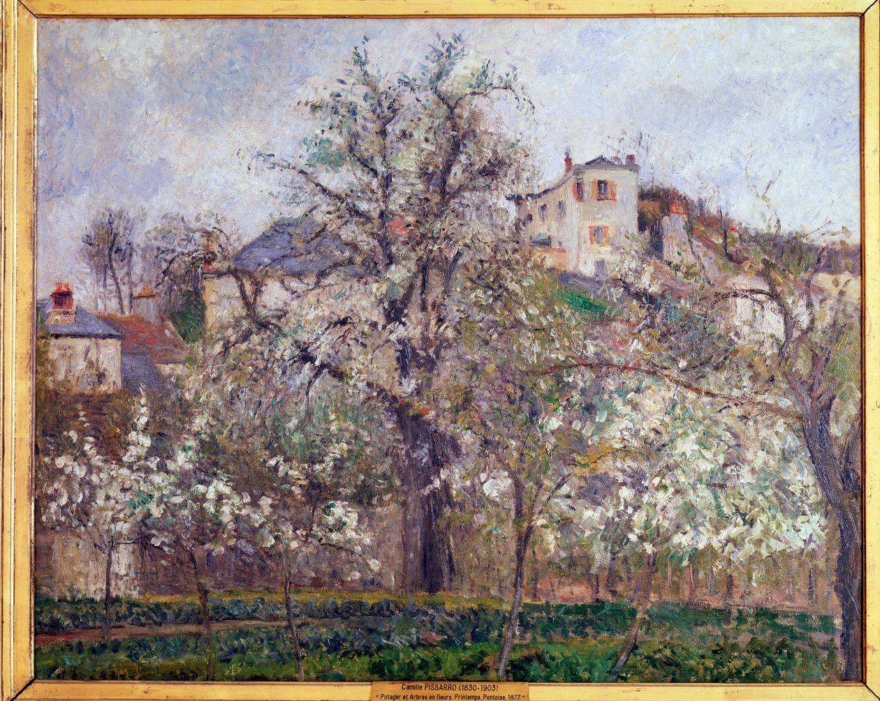 Frühling, Pflaumenblüten in Pontoise von Camille Jacob Pissarro
