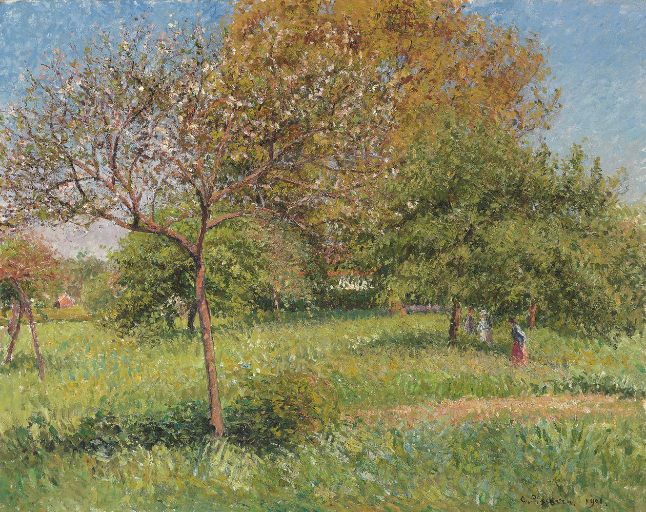 Der große Walnussbaum am Morgen in Eragny, 1901 von Camille Jacob Pissarro