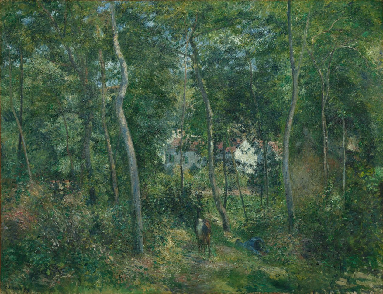Waldrand in der Nähe von L