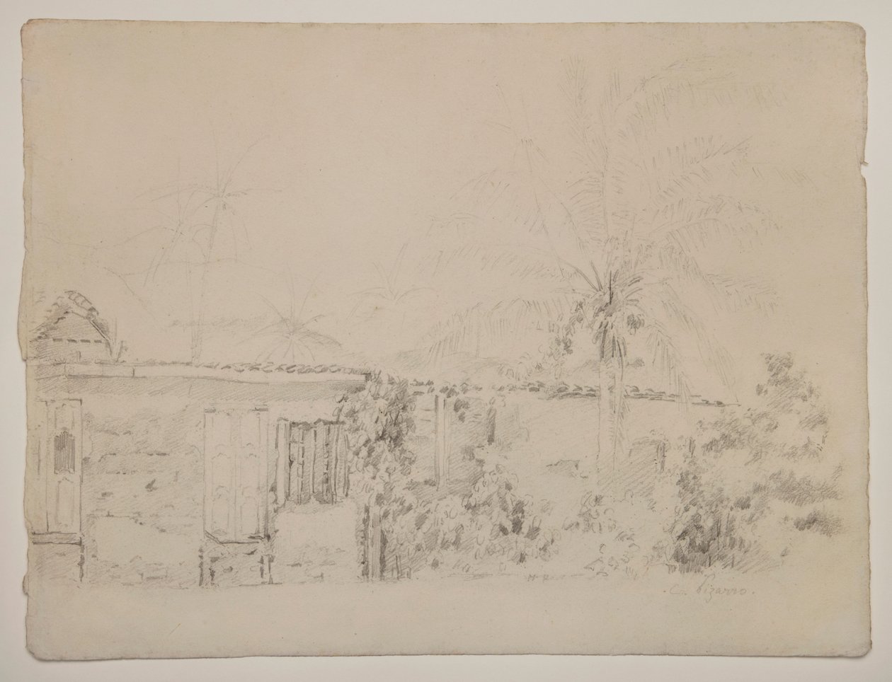 Häuser und Palmen von Camille Pissarro