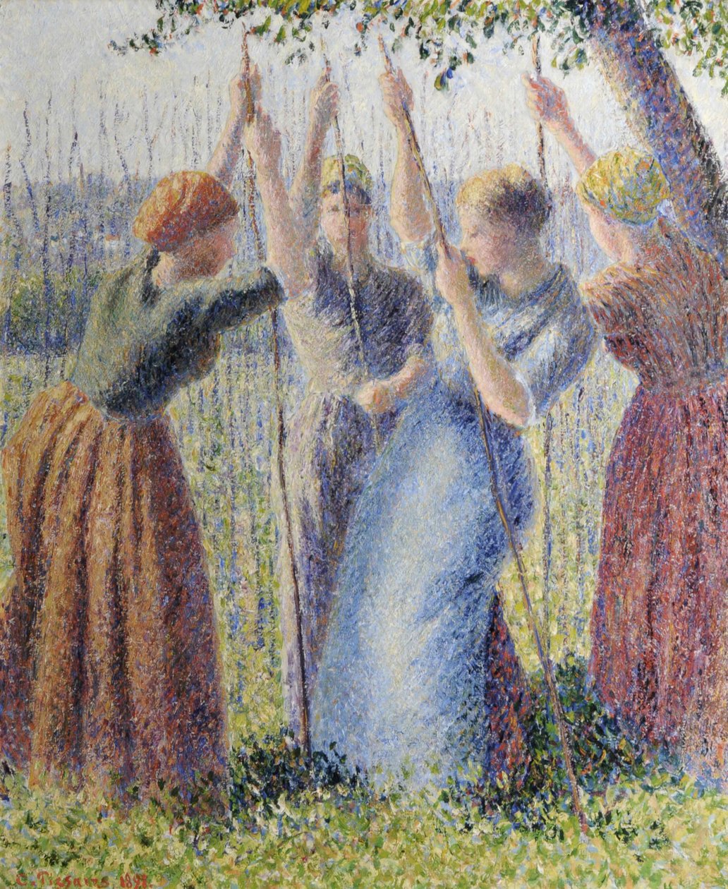 Bäuerinnen pflanzen Bohnen von Camille Pissarro