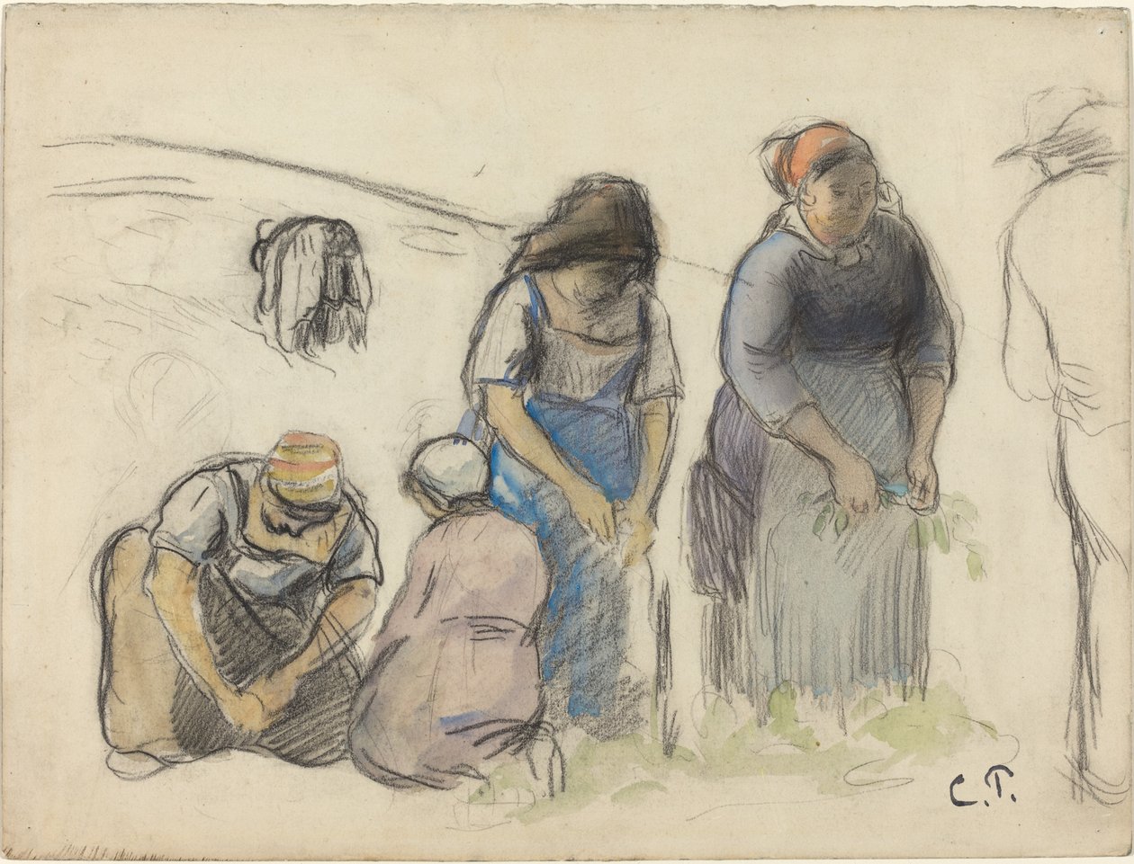 Erbsenernte von Camille Pissarro