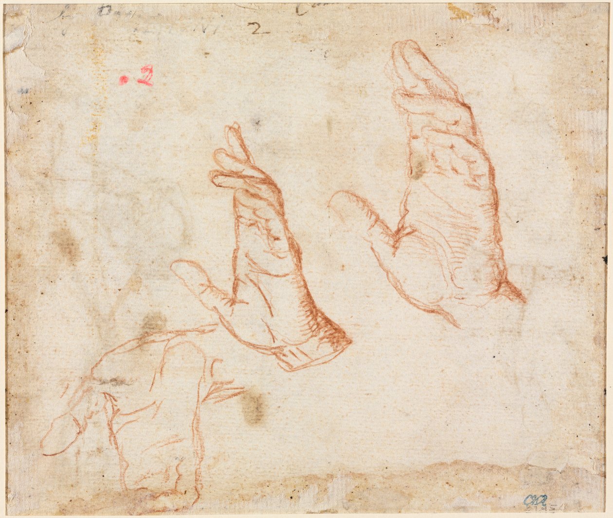 Studie von Händen verso, ca. 1590 von Camillo Procaccini