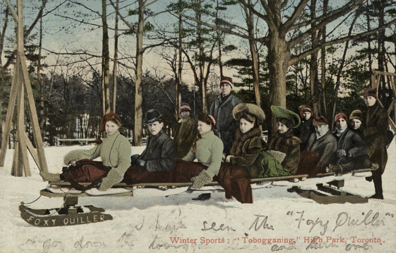 Rodeln, High Park, Toronto, Kanada von Canadian Photographer
