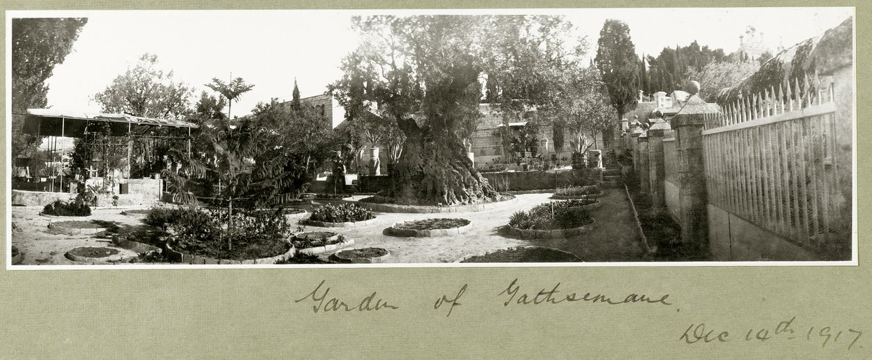 Garten von Gethsemane, 14. Dezember 1917 von Capt. Arthur Rhodes