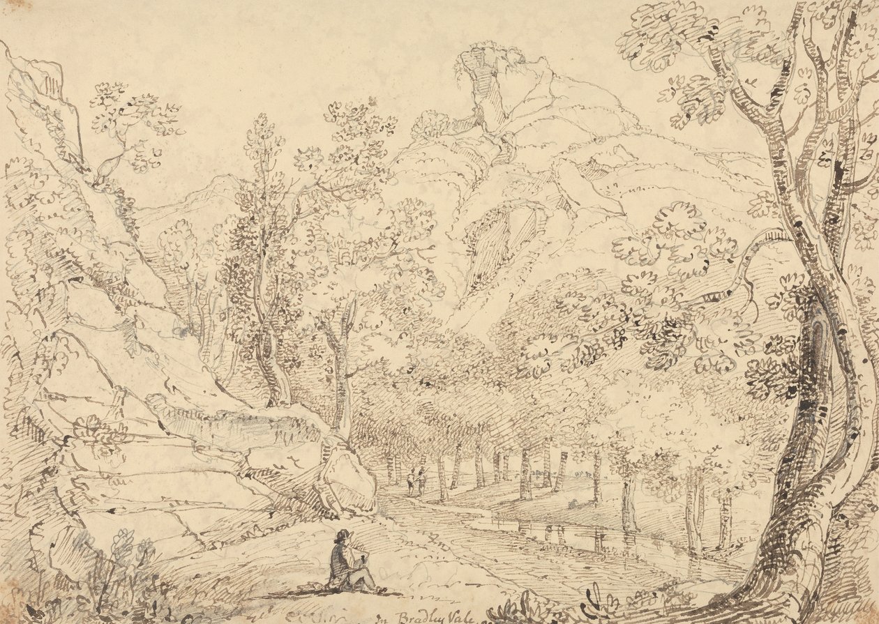 In Bradley Vale, Mai 1833 von Capt. Thomas Hastings